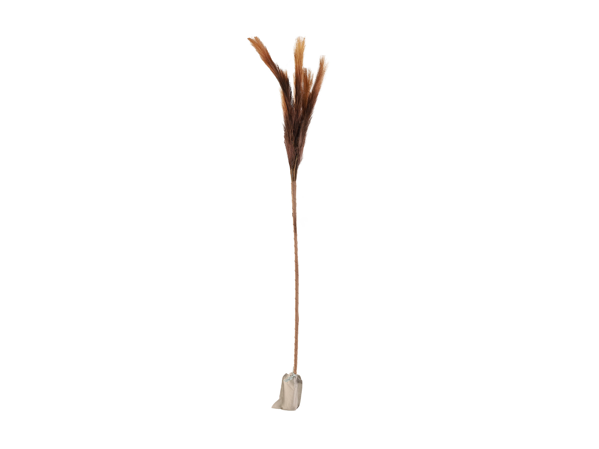 decorate objects KOOPMAN PAMPAS GRAS WITH LED 90CM BROW