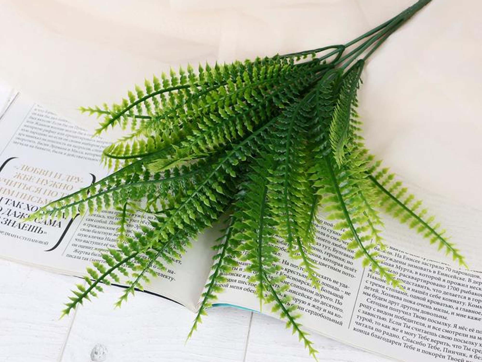 flowers SIMA-LAND FOREST FERN 30 cm