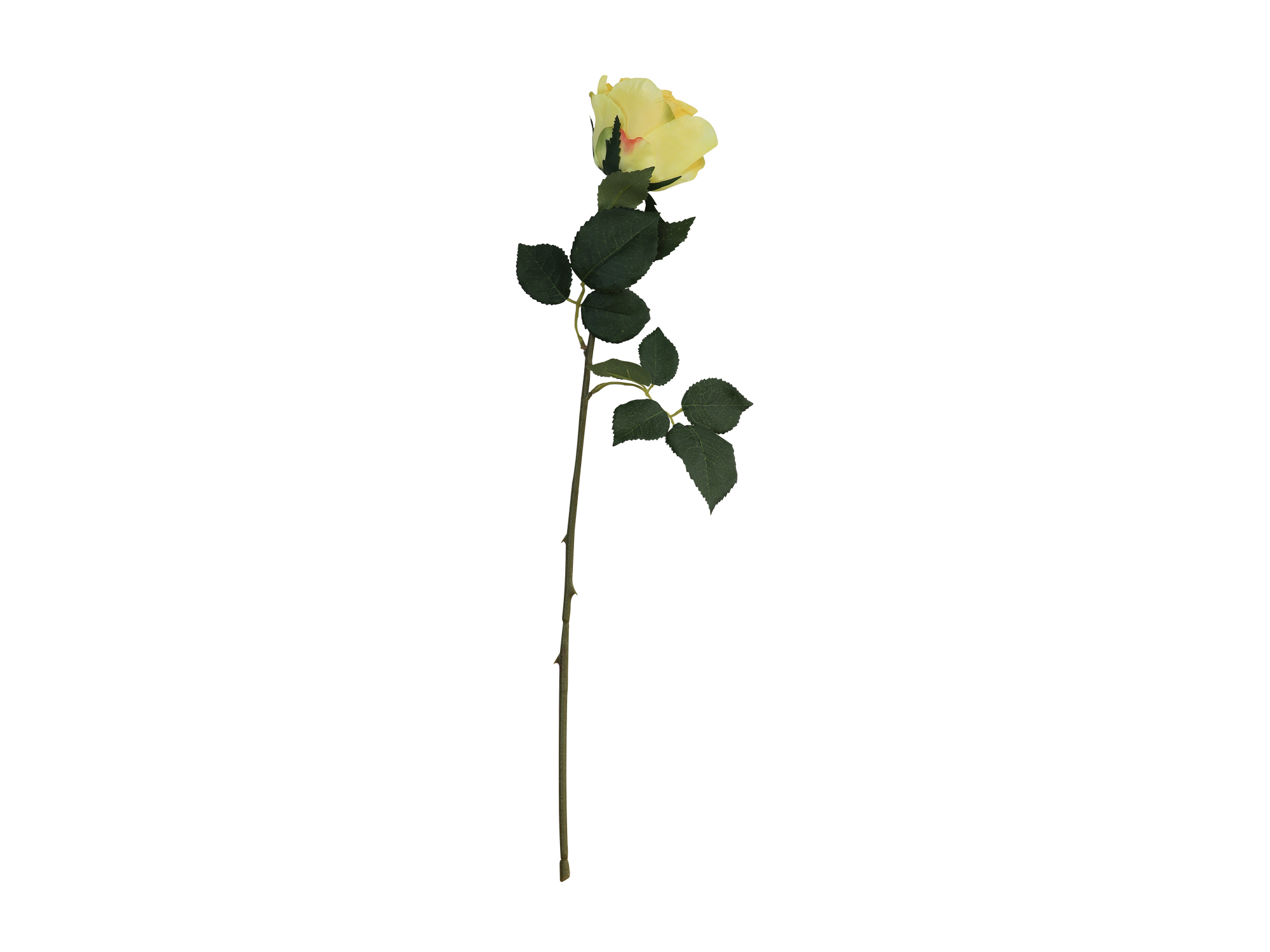 flowers HOMESRUS 024475