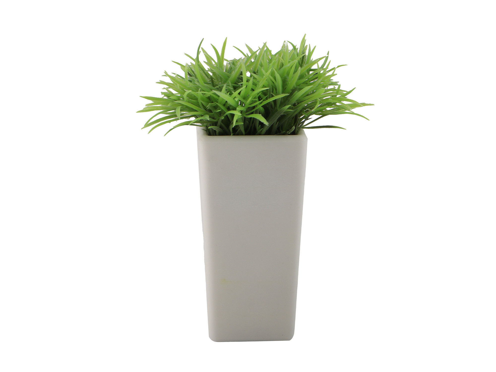 flowers KOOPMAN PLANT IN POT 4ASS