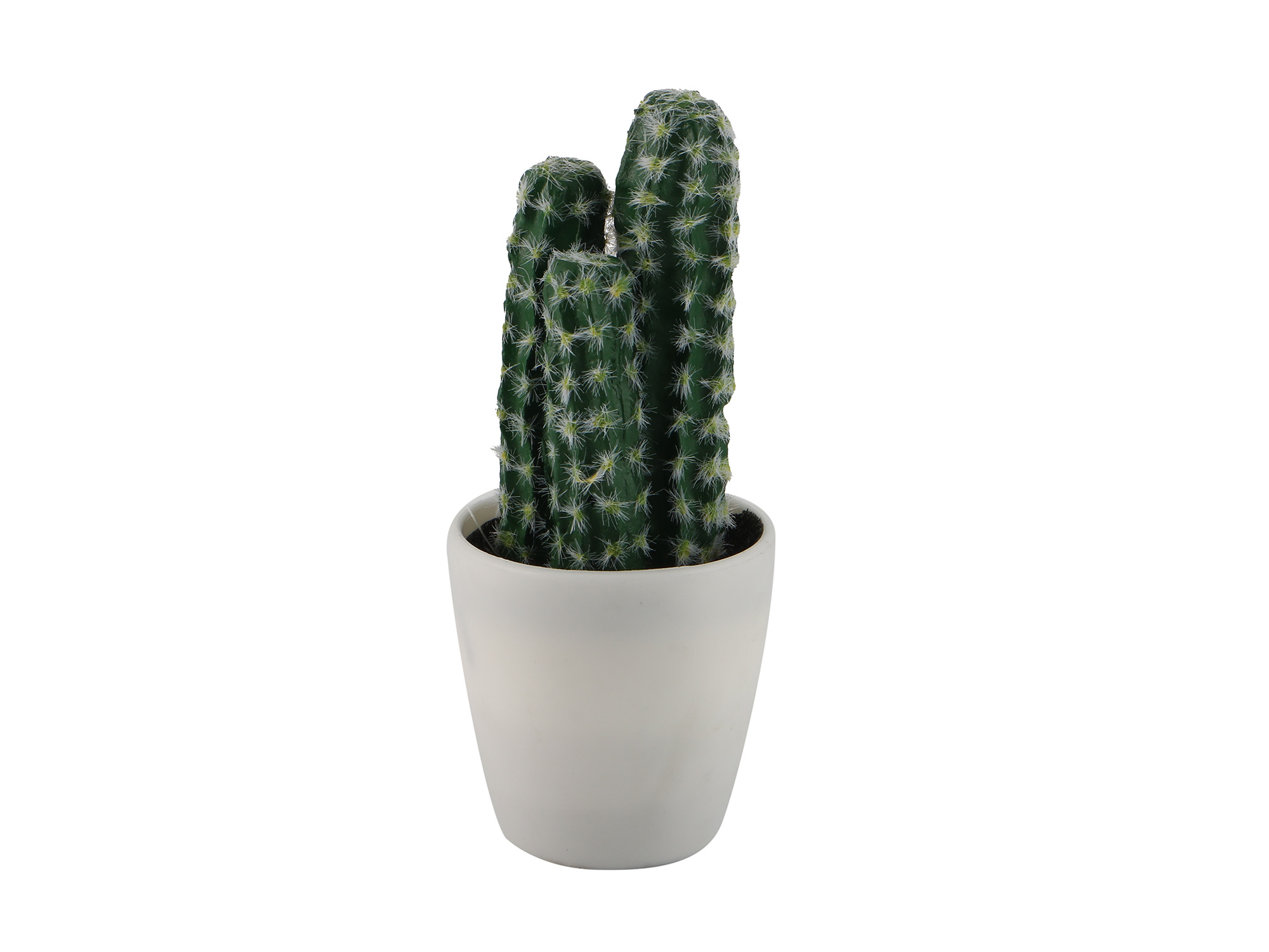 flowers KOOPMAN PLANTS IN WHITE POT 12ASS
